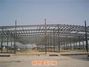 匠心筑造綠色未來—頓奇建筑工程鋼結構大棚推廣特別報道
